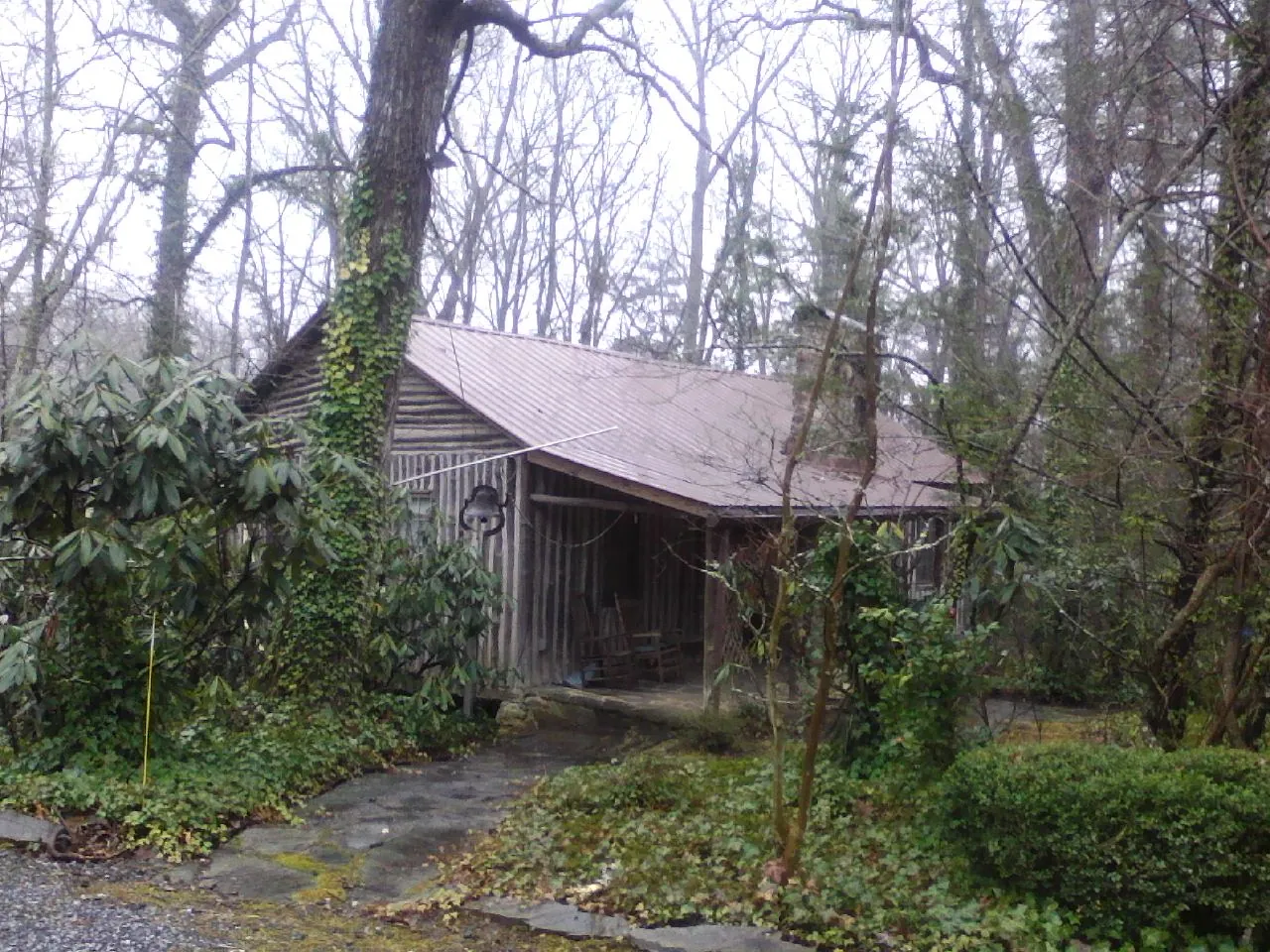 Weathered metal roof on an old board sided cabin in the woods in Warm Springs