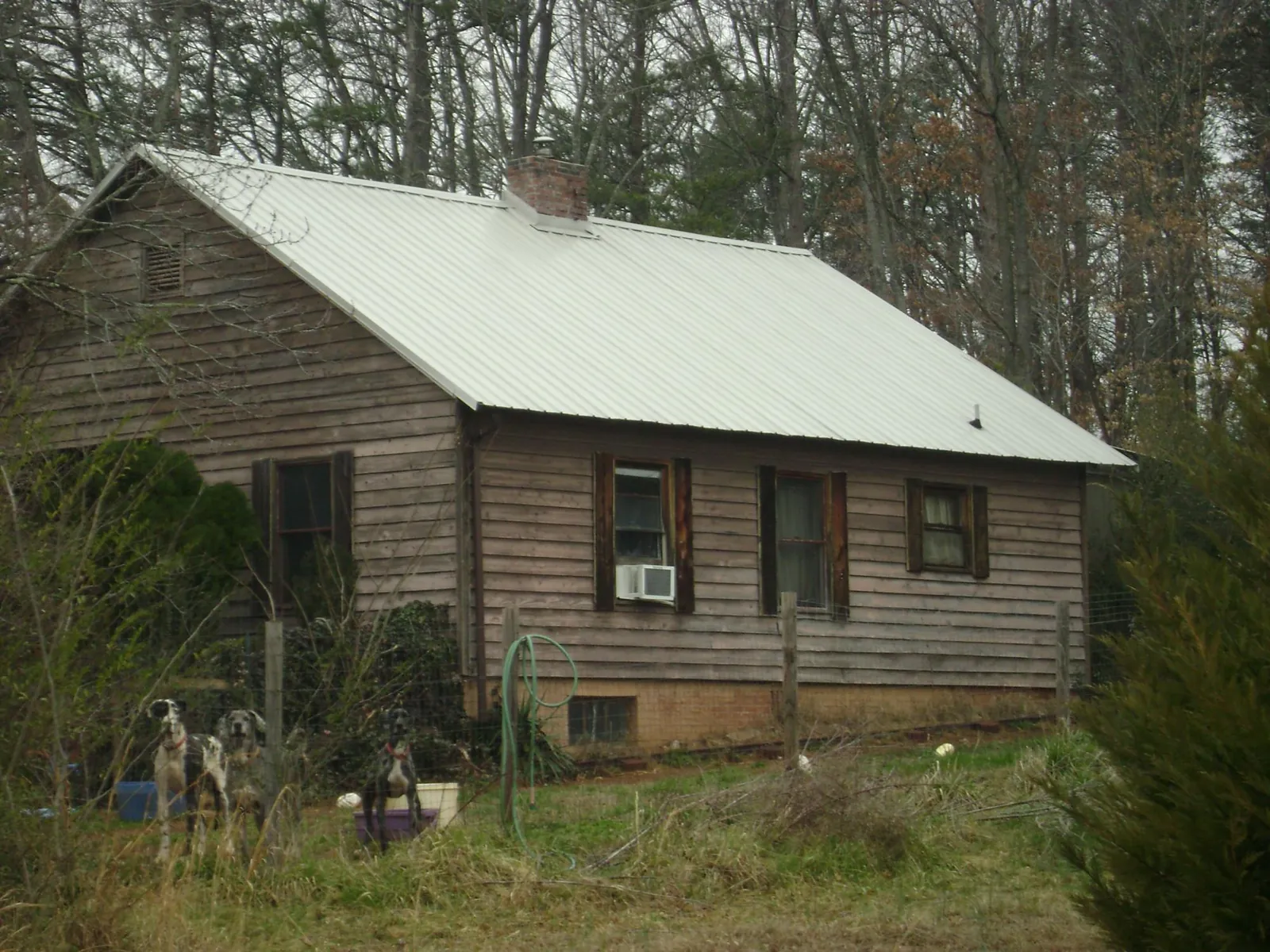 White metal roof on an old wood sided farmhouse, from a Asphalt Shingle Roof Repair job in Warm Springs